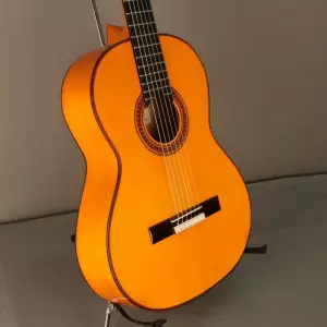 رنگ بندی گیتار ریموندو 126